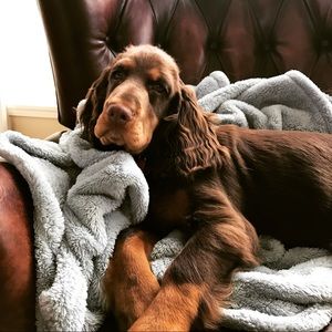 Meet your Posher, Marilyn